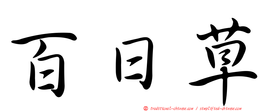 百日草