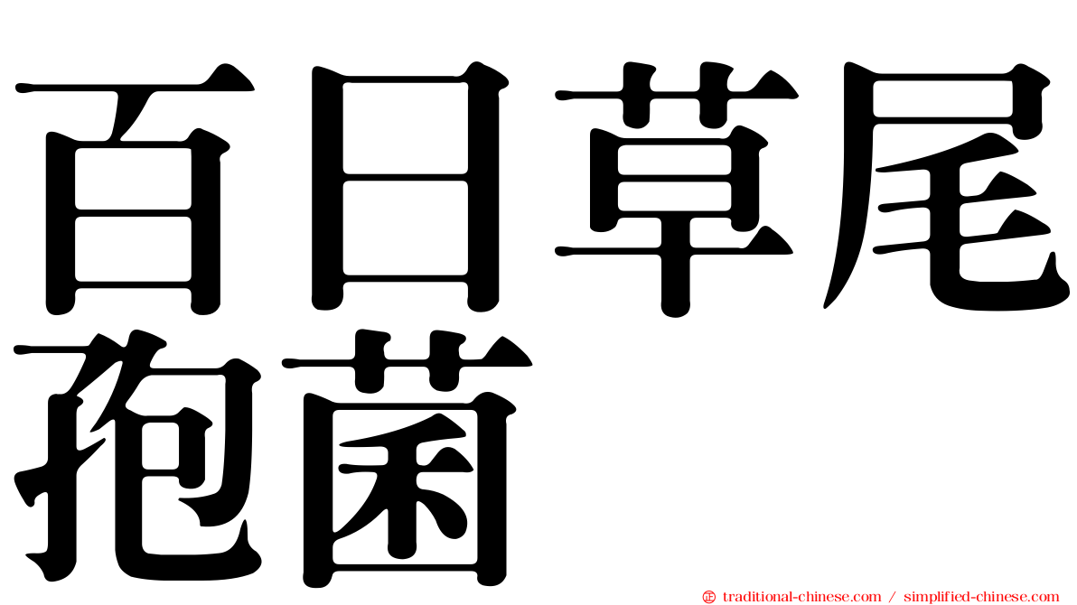 百日草尾孢菌