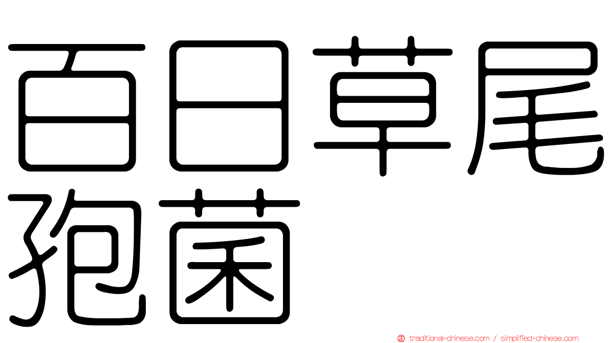 百日草尾孢菌