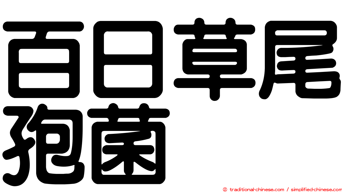 百日草尾孢菌