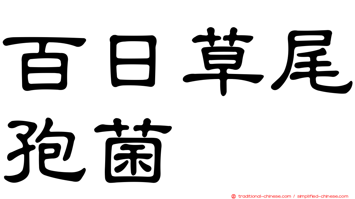 百日草尾孢菌