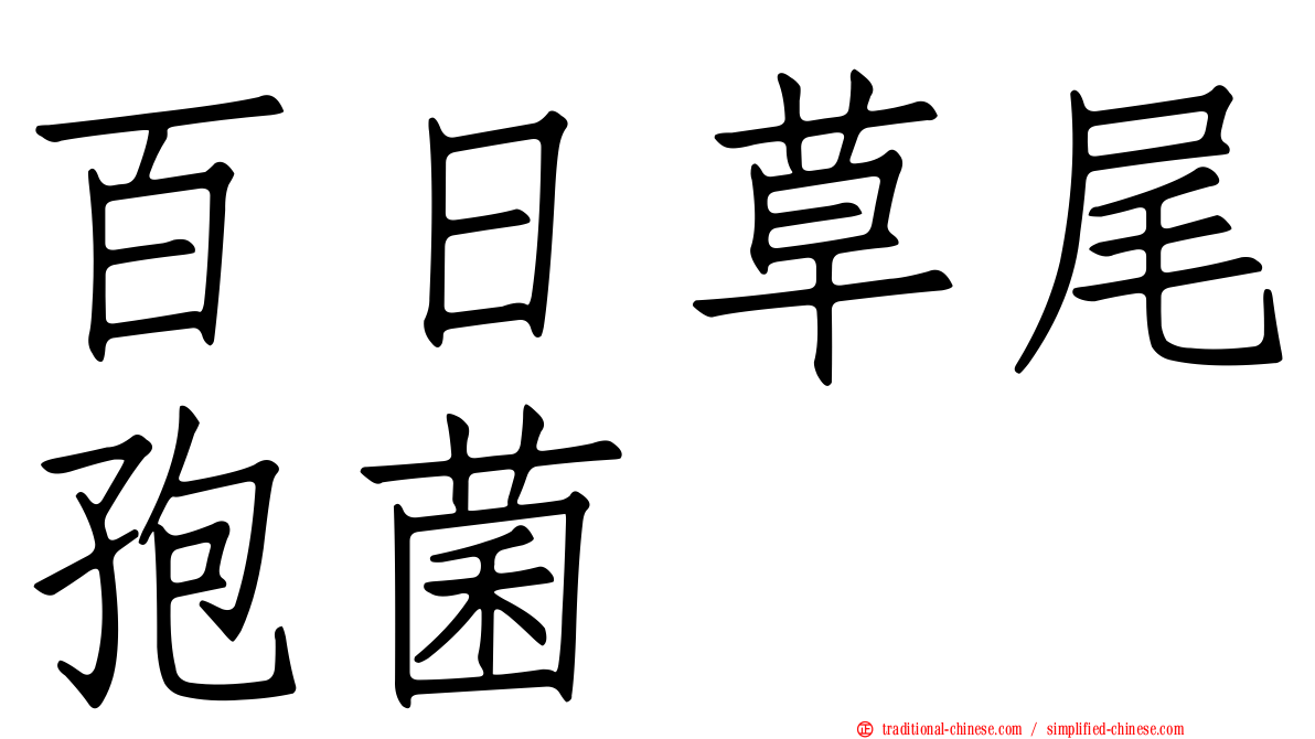 百日草尾孢菌