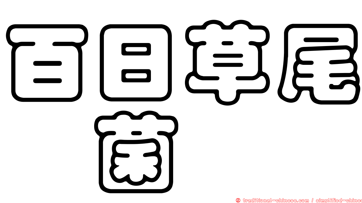 百日草尾孢菌