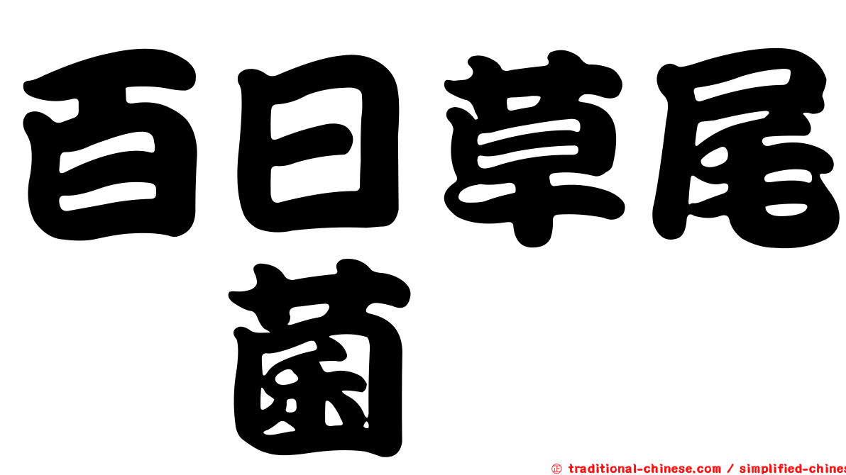 百日草尾孢菌