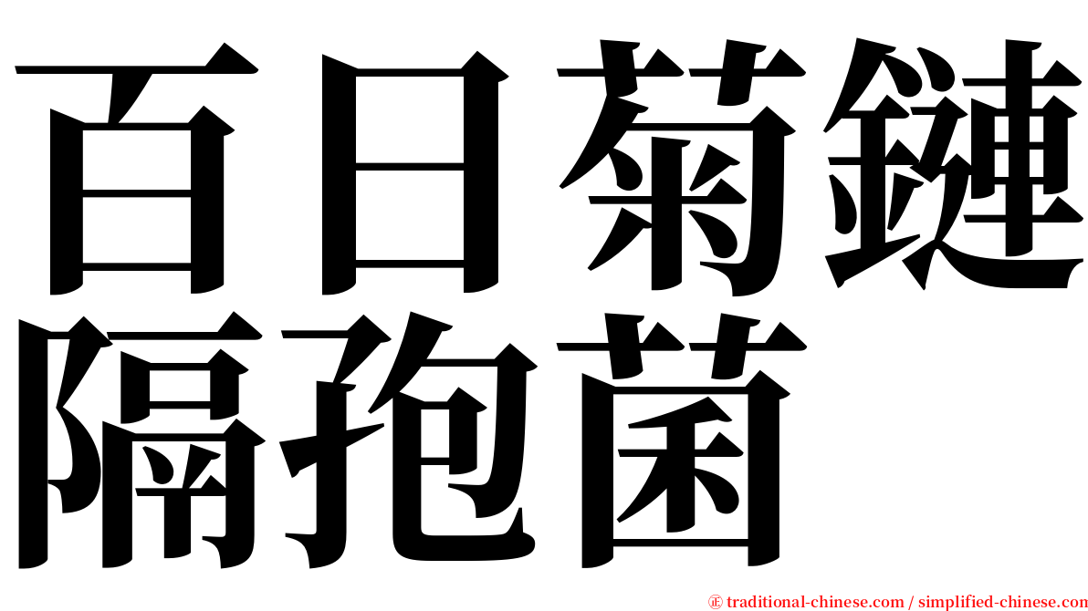 百日菊鏈隔孢菌 serif font