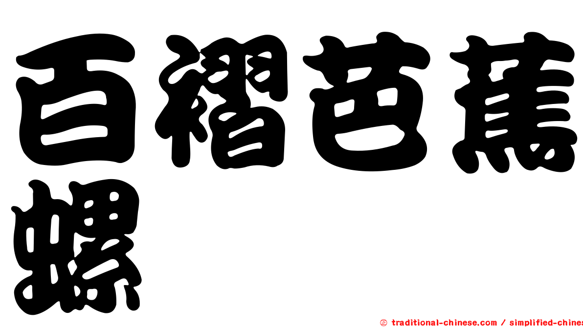 百褶芭蕉螺
