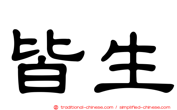 皆生
