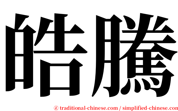 皓騰 serif font