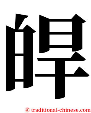 皔 serif font