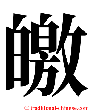 皦 serif font