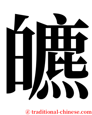 皫 serif font