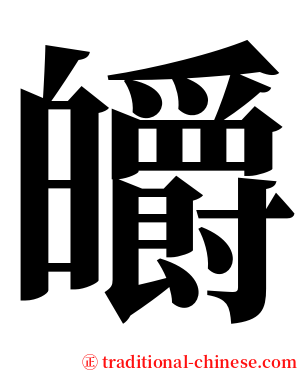 皭 serif font