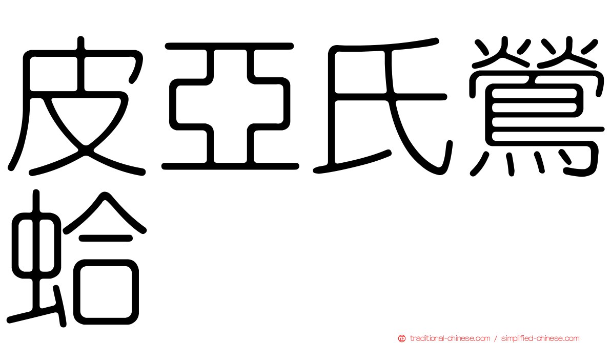 皮亞氏鶯蛤