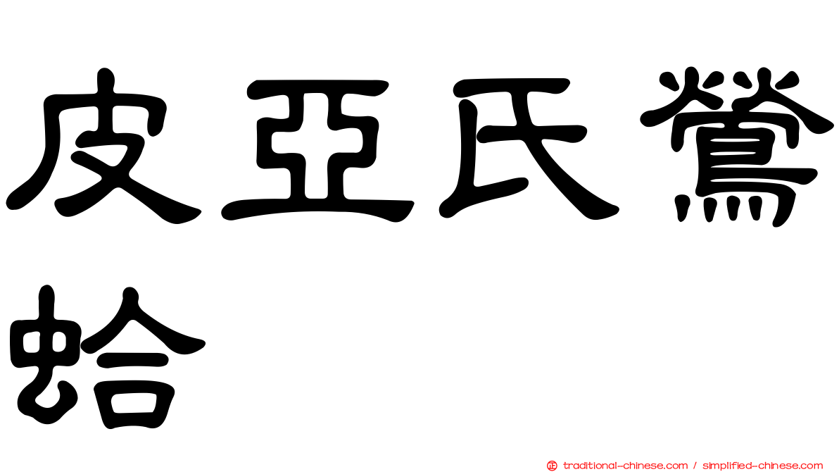 皮亞氏鶯蛤