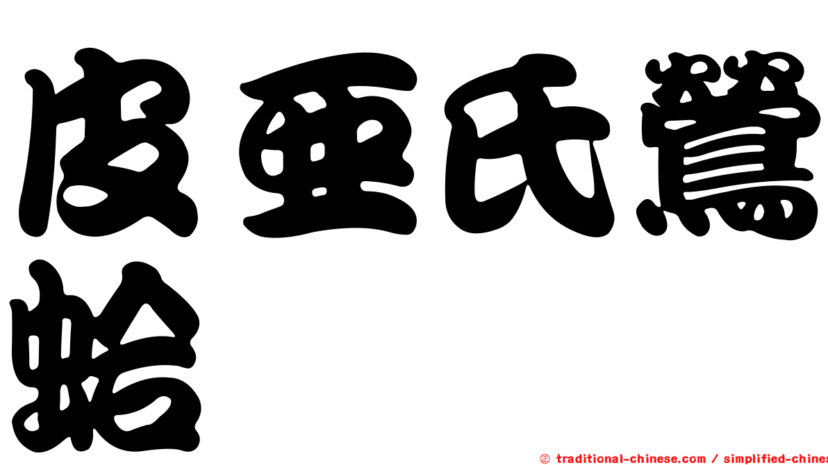 皮亞氏鶯蛤