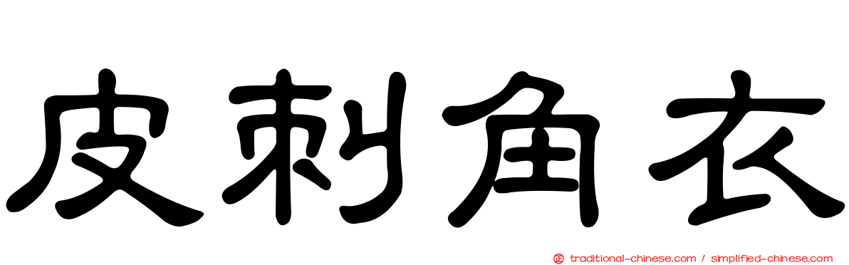 皮刺角衣