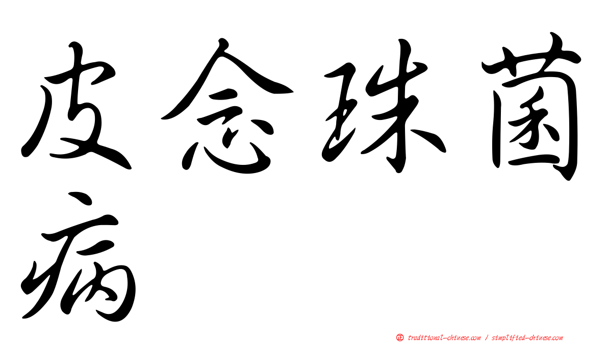 皮念珠菌病