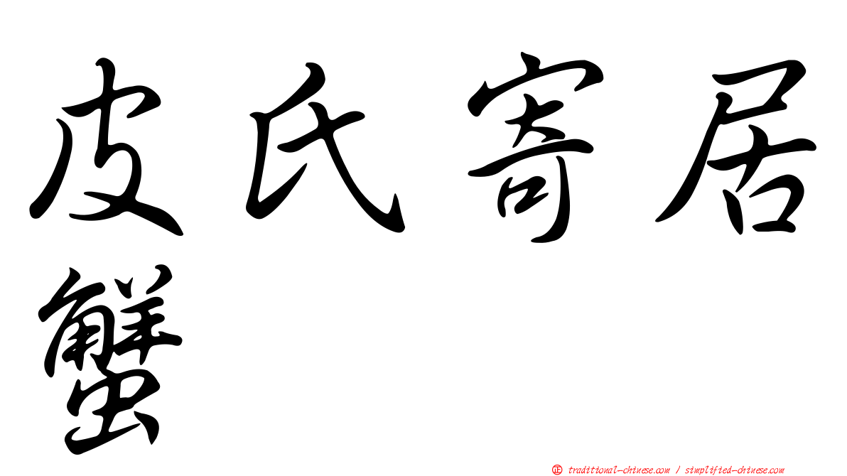 皮氏寄居蟹