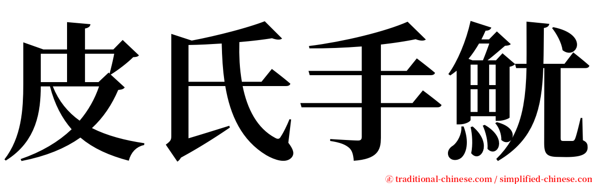 皮氏手魷 serif font