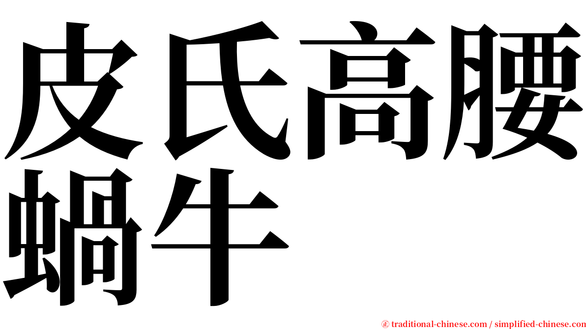 皮氏高腰蝸牛 serif font