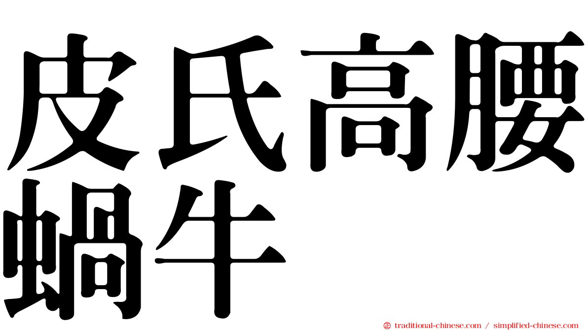 皮氏高腰蝸牛