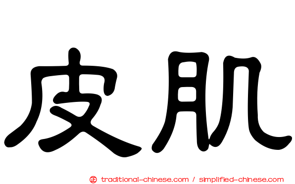 皮肌