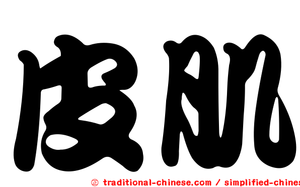 皮肌