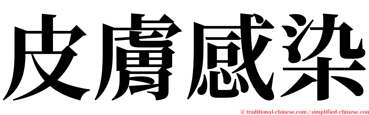 皮膚感染 serif font