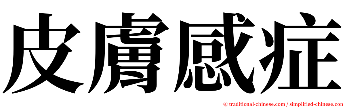 皮膚感症 serif font