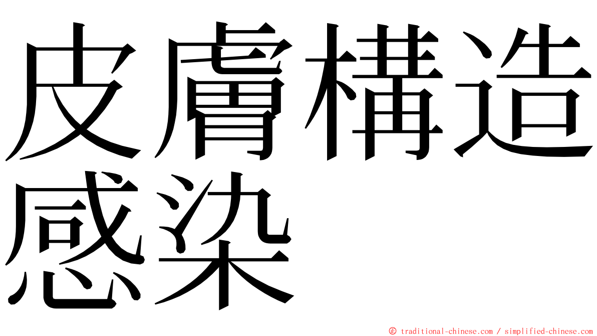 皮膚構造感染 ming font