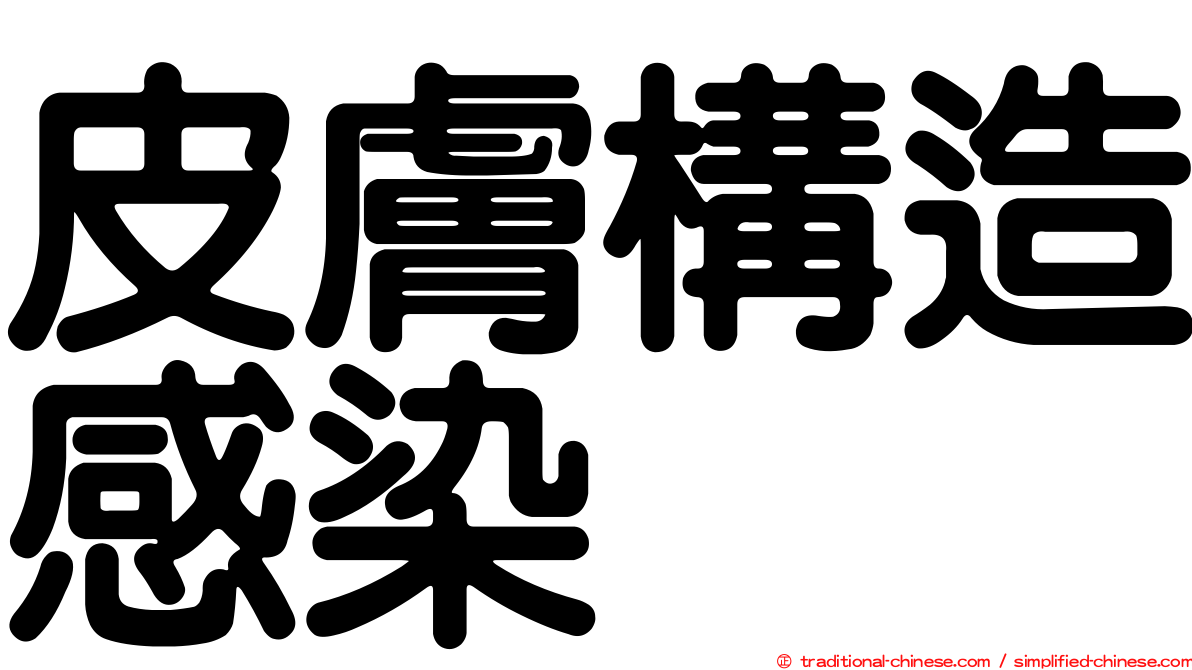 皮膚構造感染