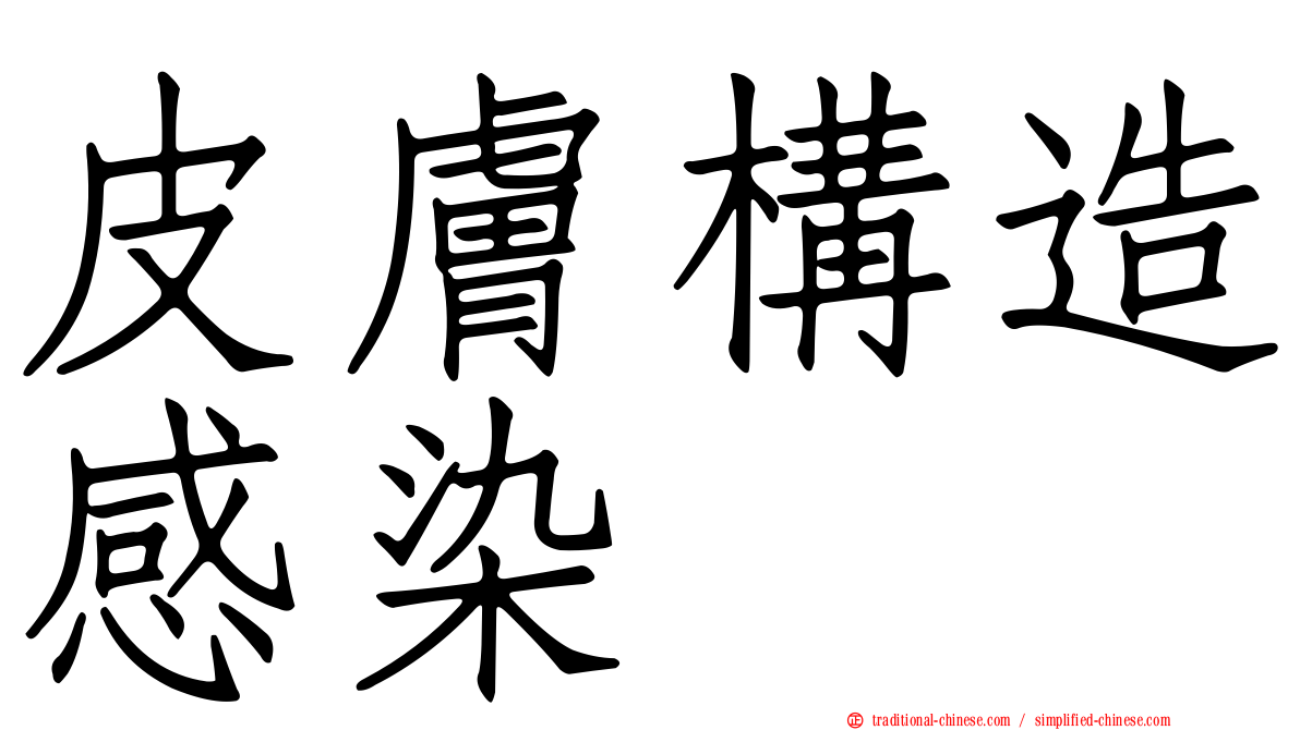 皮膚構造感染