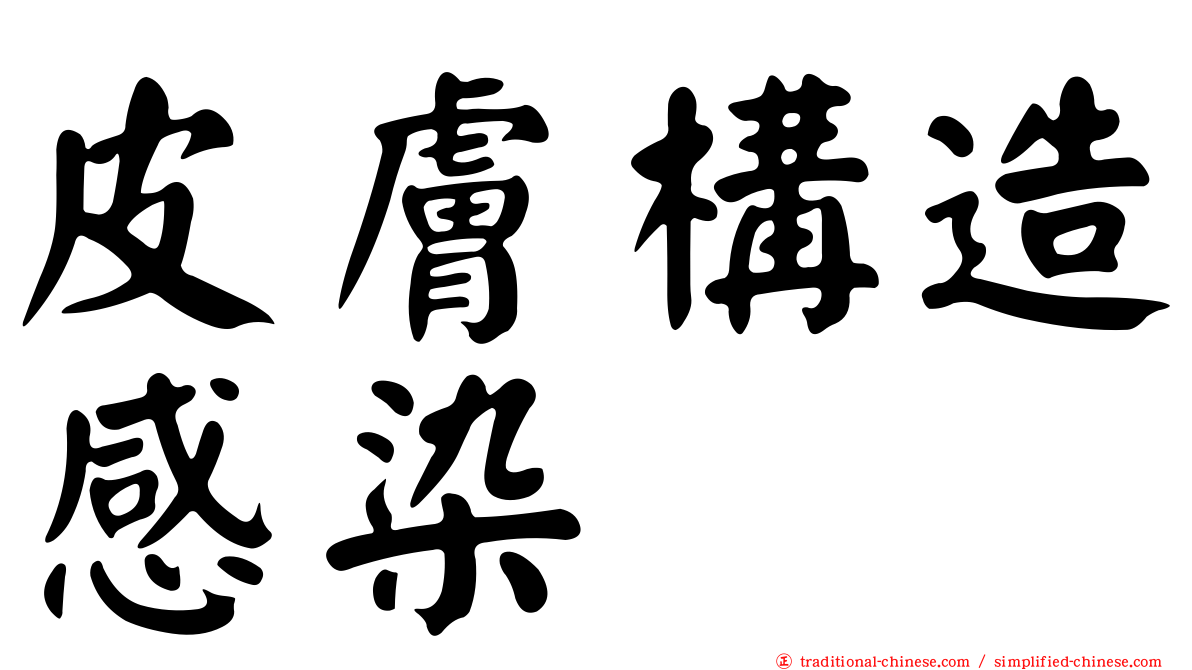 皮膚構造感染