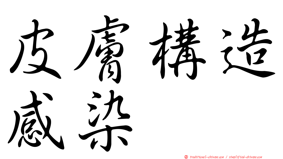 皮膚構造感染