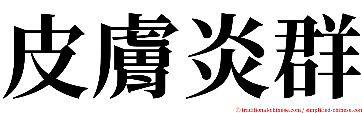 皮膚炎群 serif font