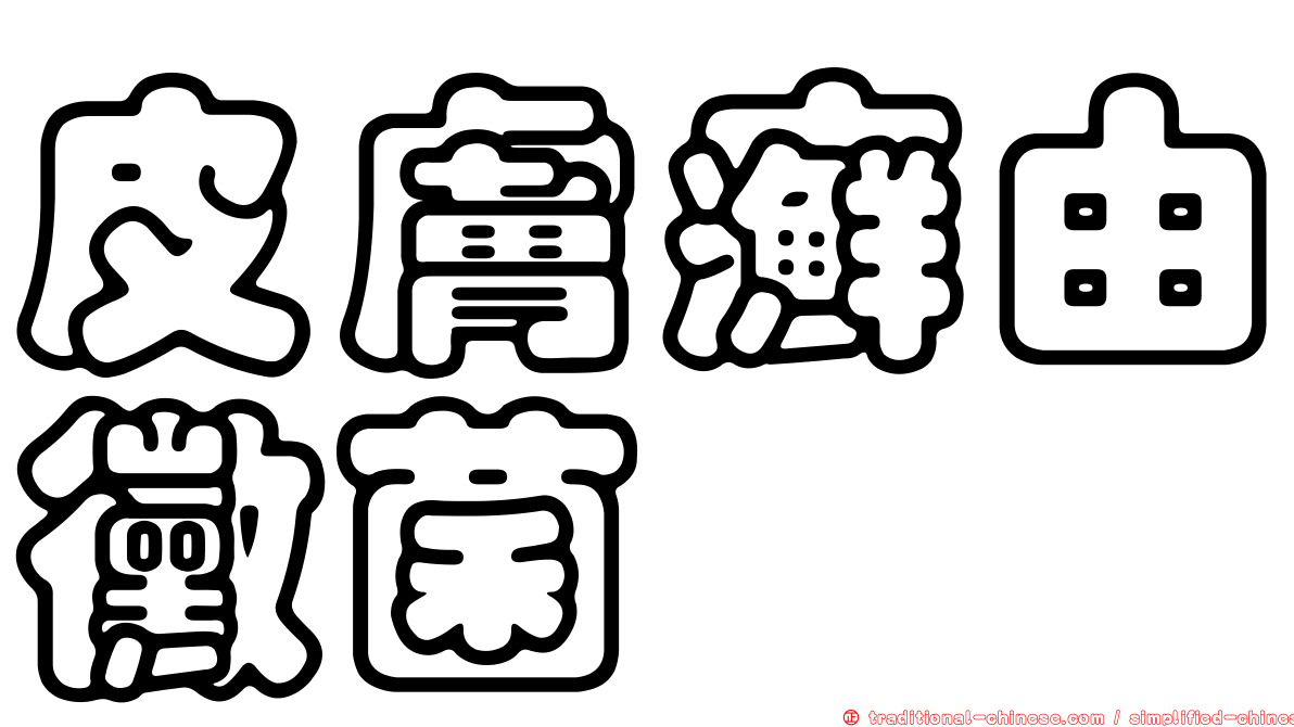 皮膚癬由黴菌