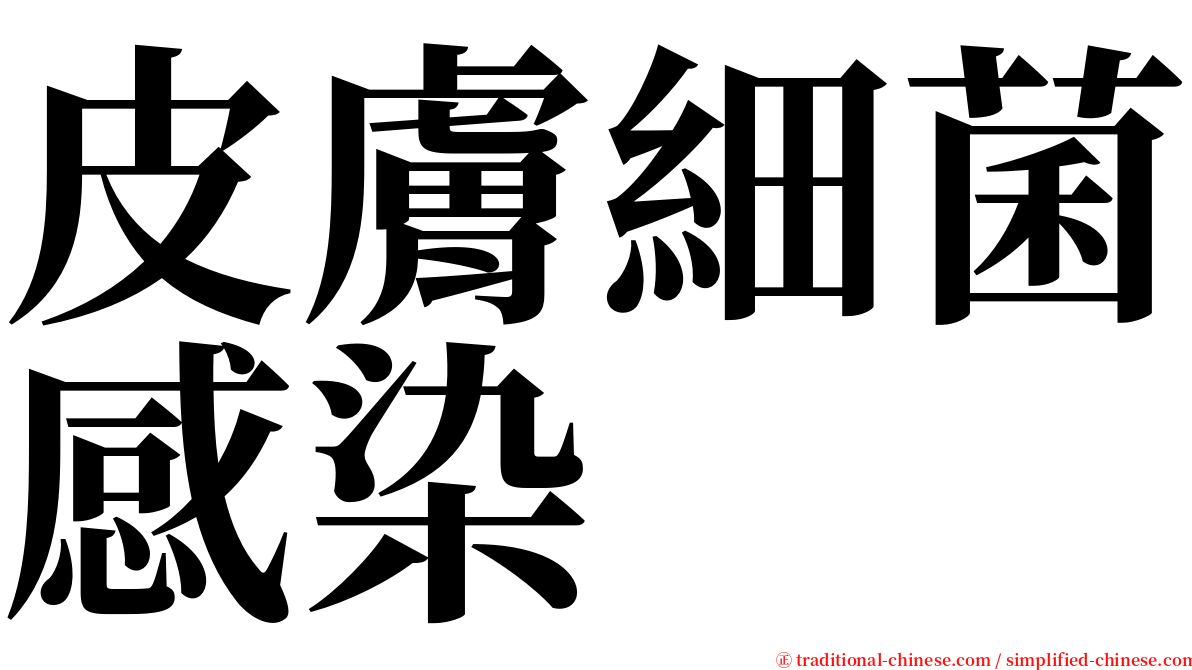 皮膚細菌感染 serif font