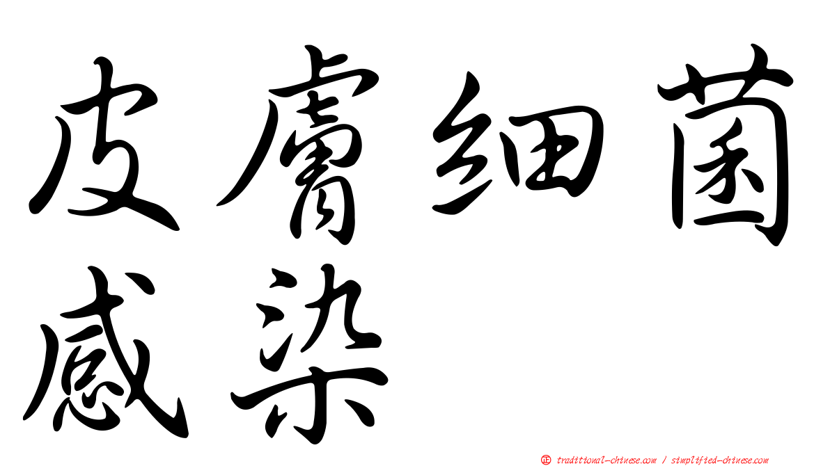 皮膚細菌感染