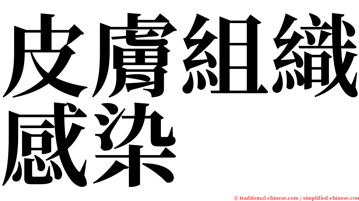 皮膚組織感染 serif font