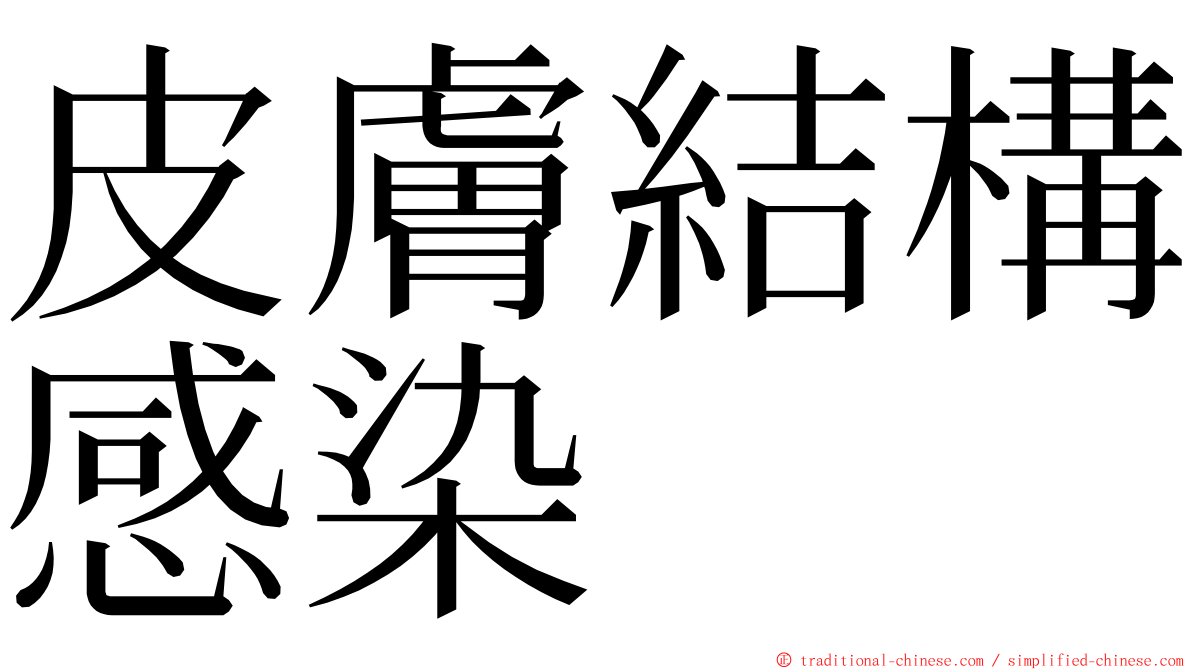 皮膚結構感染 ming font