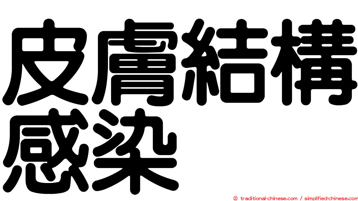 皮膚結構感染