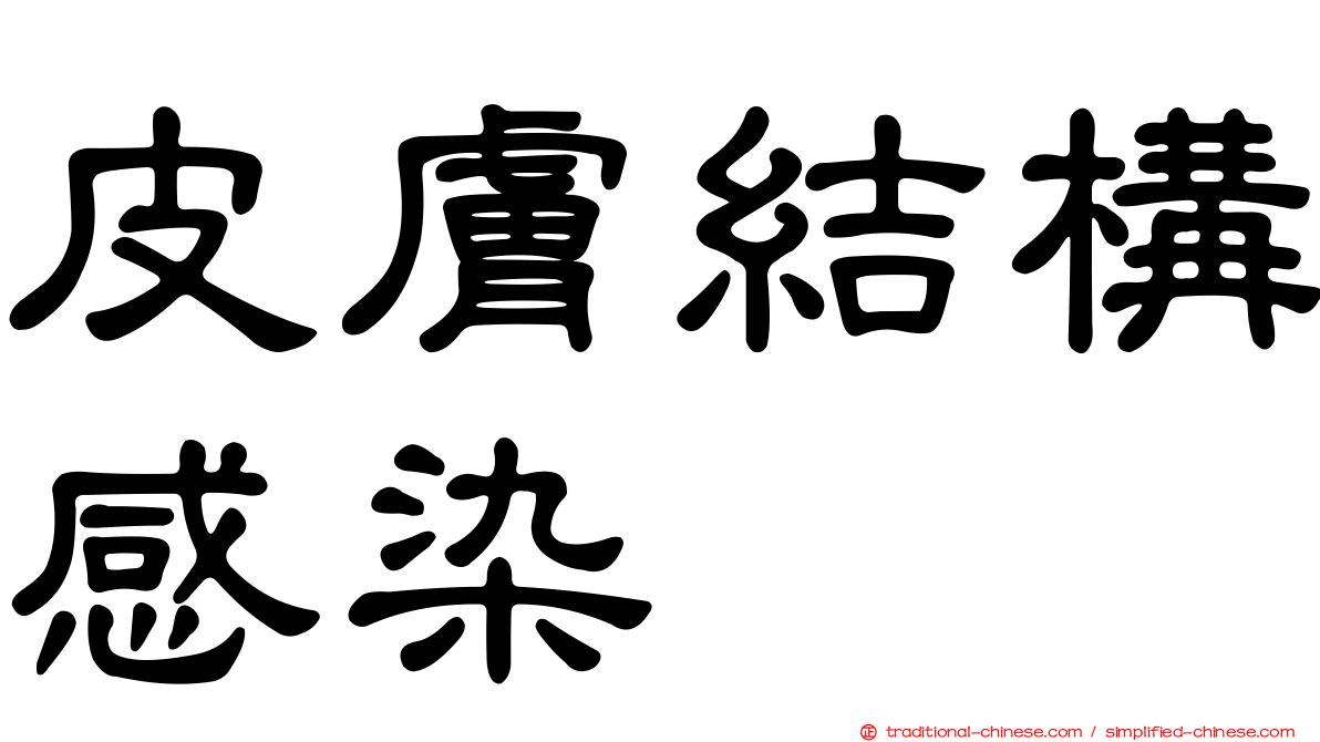 皮膚結構感染