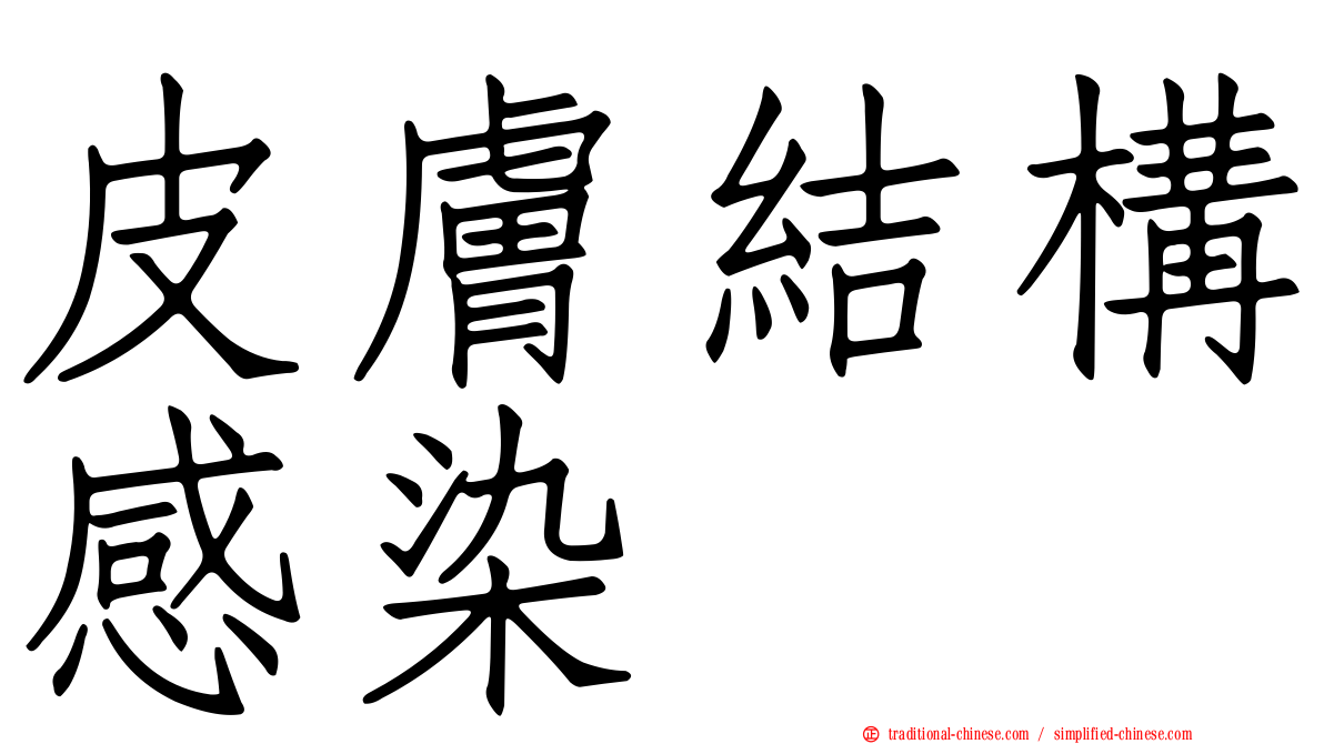 皮膚結構感染