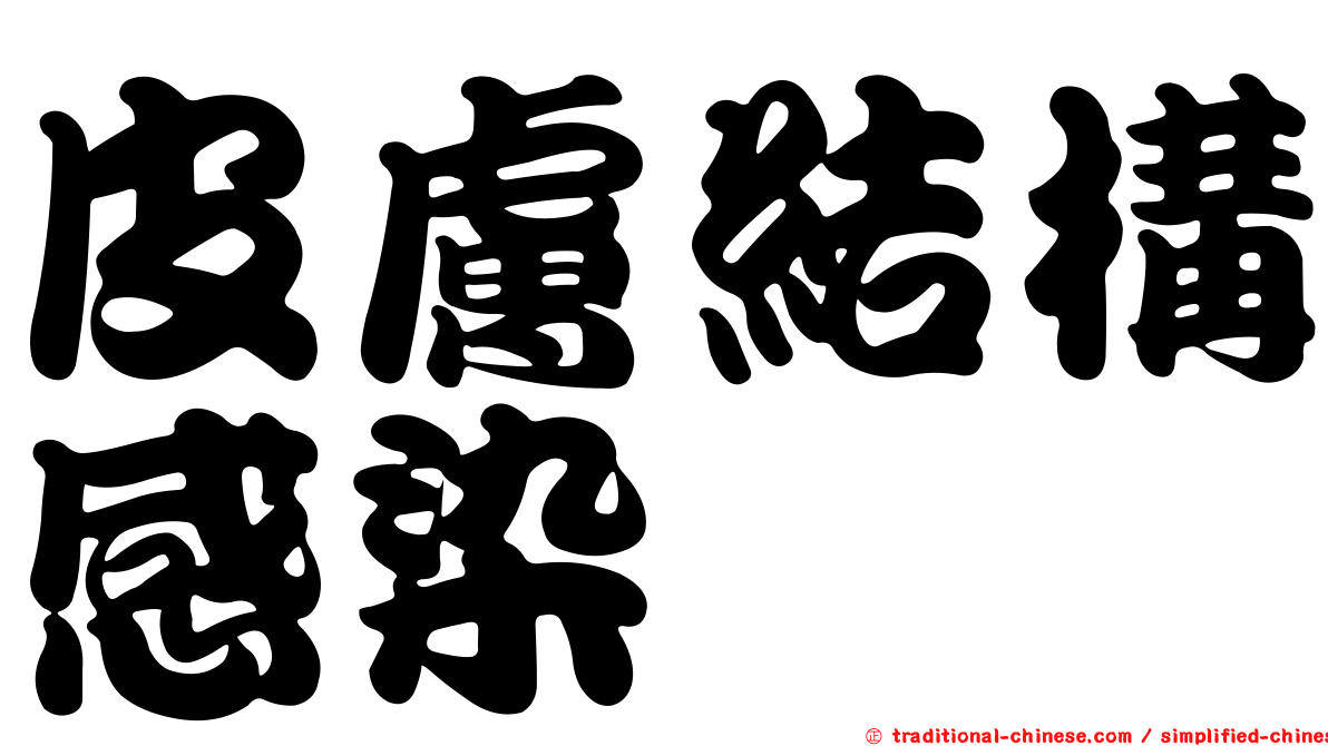 皮膚結構感染