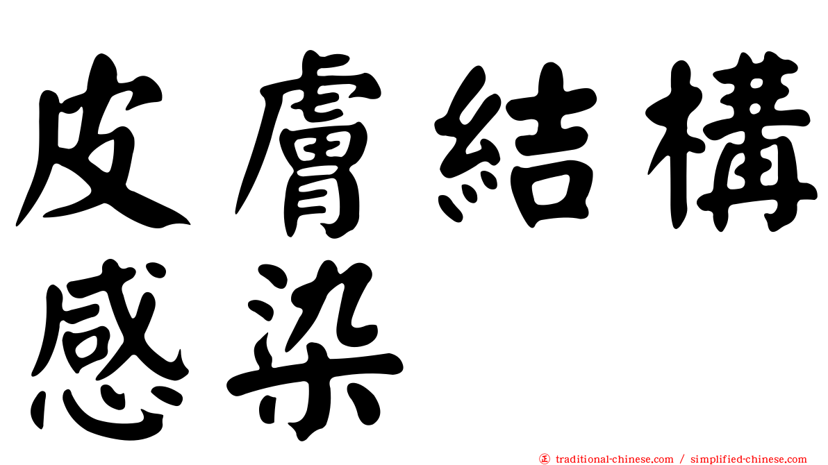 皮膚結構感染