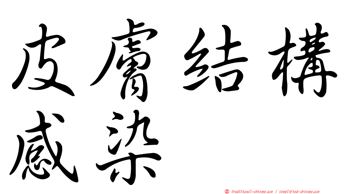 皮膚結構感染