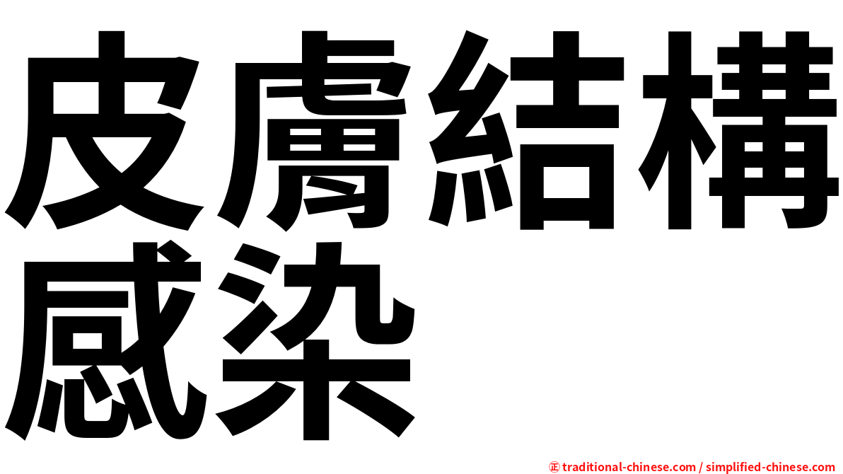 皮膚結構感染