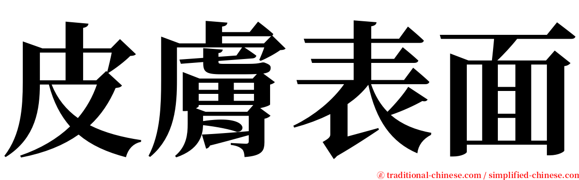 皮膚表面 serif font