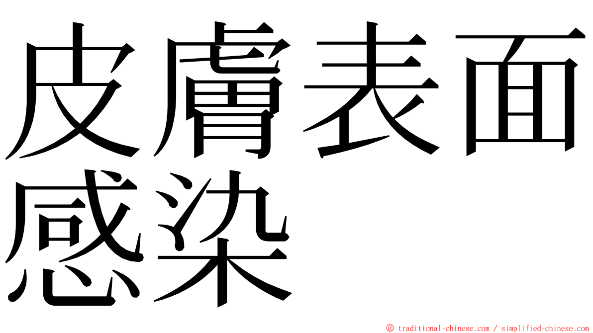 皮膚表面感染 ming font
