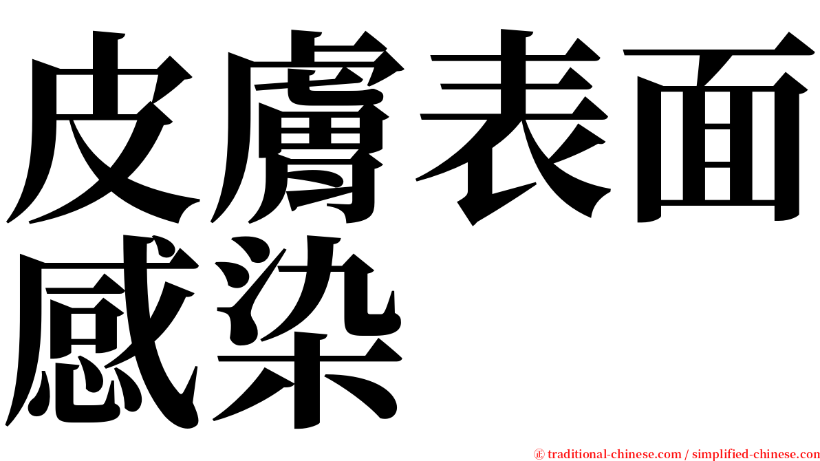 皮膚表面感染 serif font